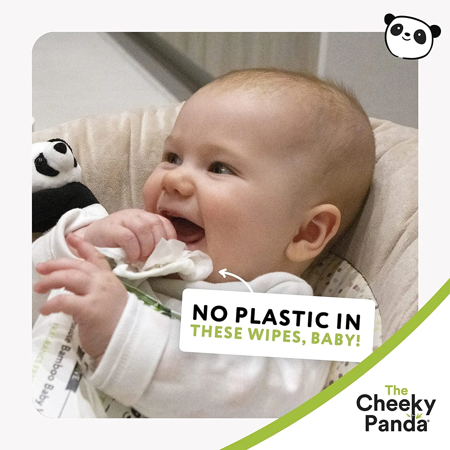 Biodegradable Baby Wipes (12 packs)