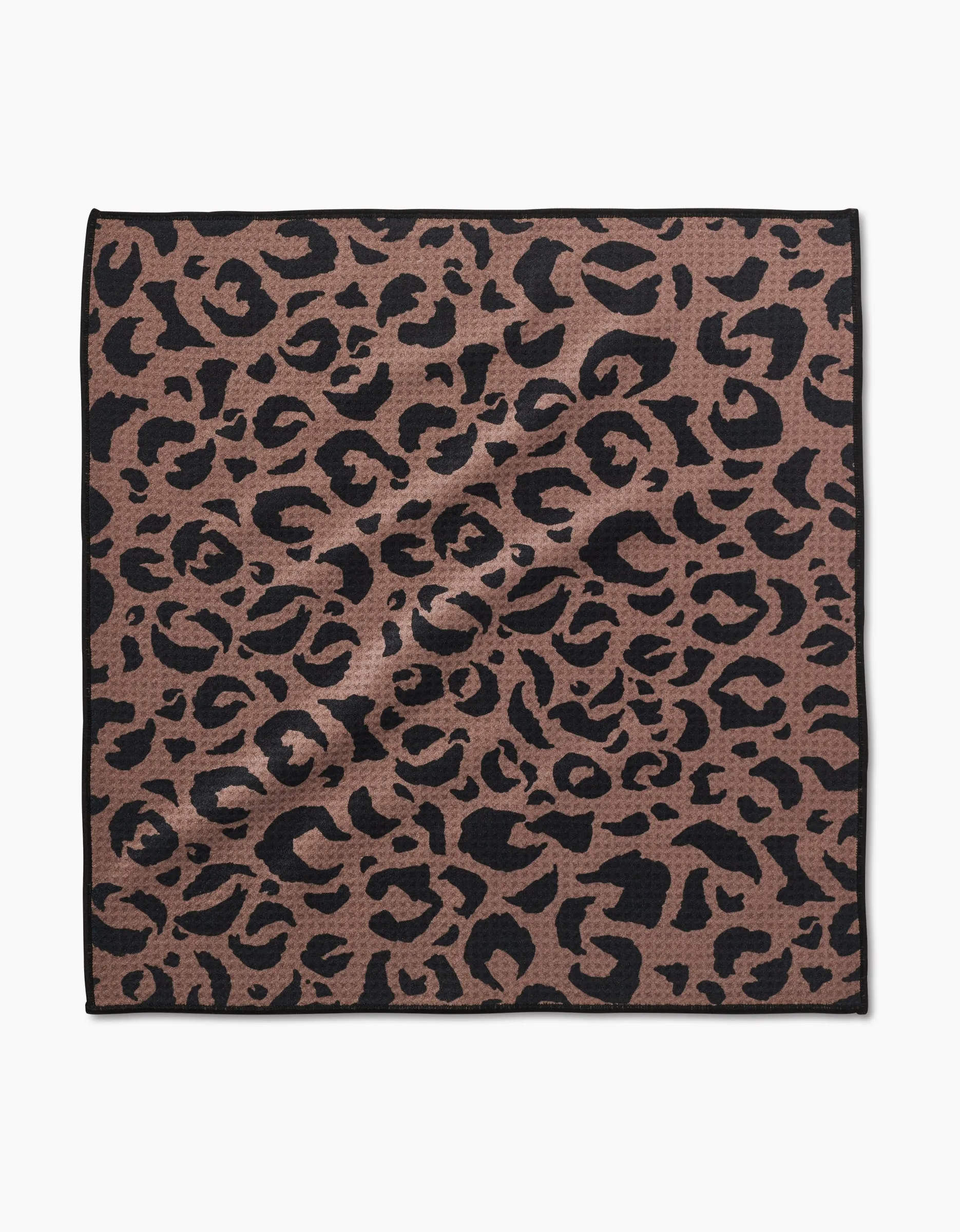 Cheetah Hound
