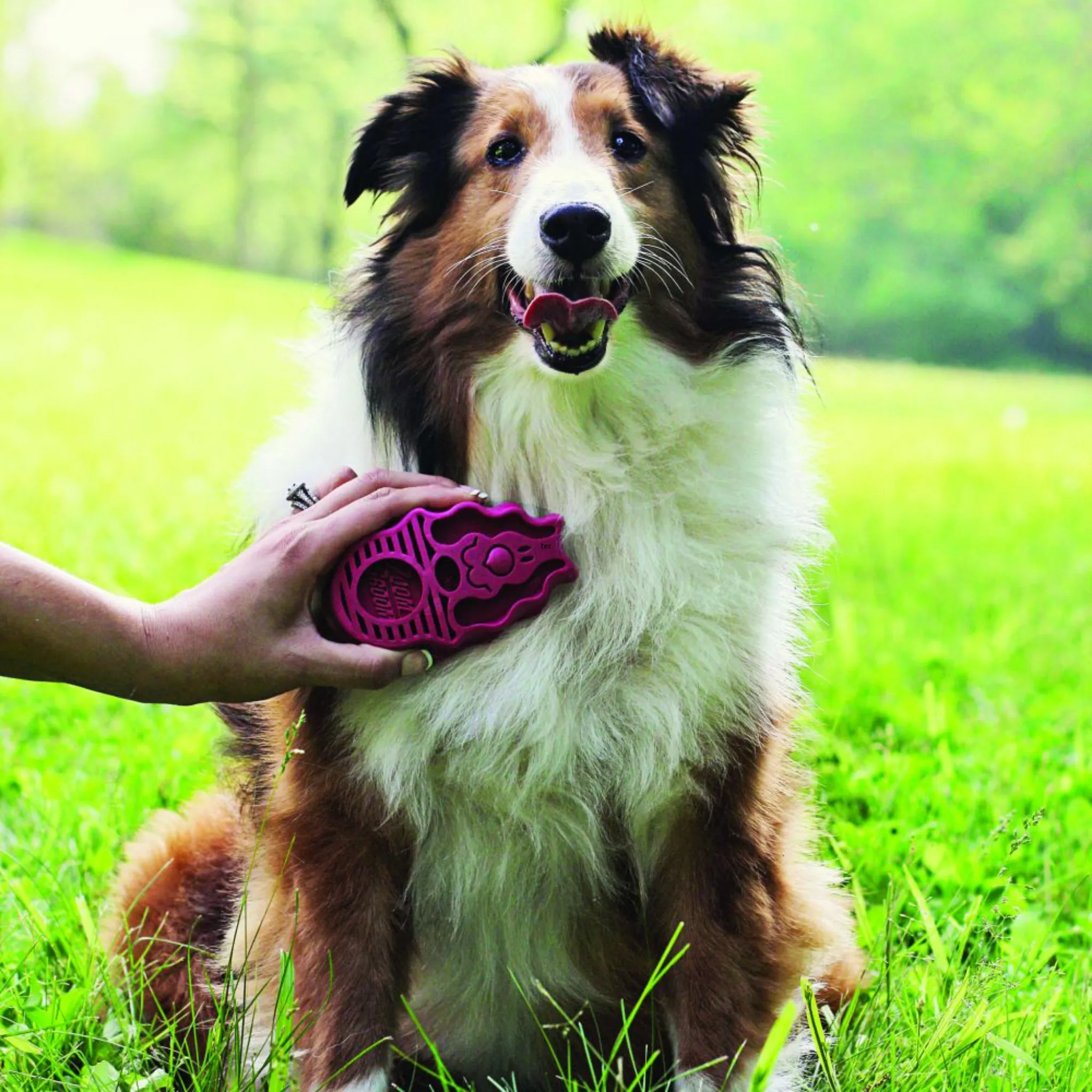Kong Dog Zoom Groom - Long Hair