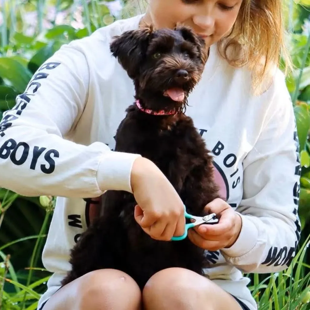 Li'l Pals Nail Trimmer For Dogs
