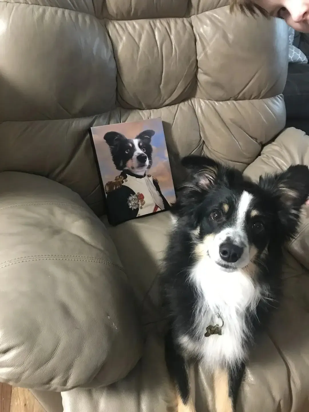 Napoleon Complex - Napoleon & Renaissance Inspired Custom Pet Portrait Canvas