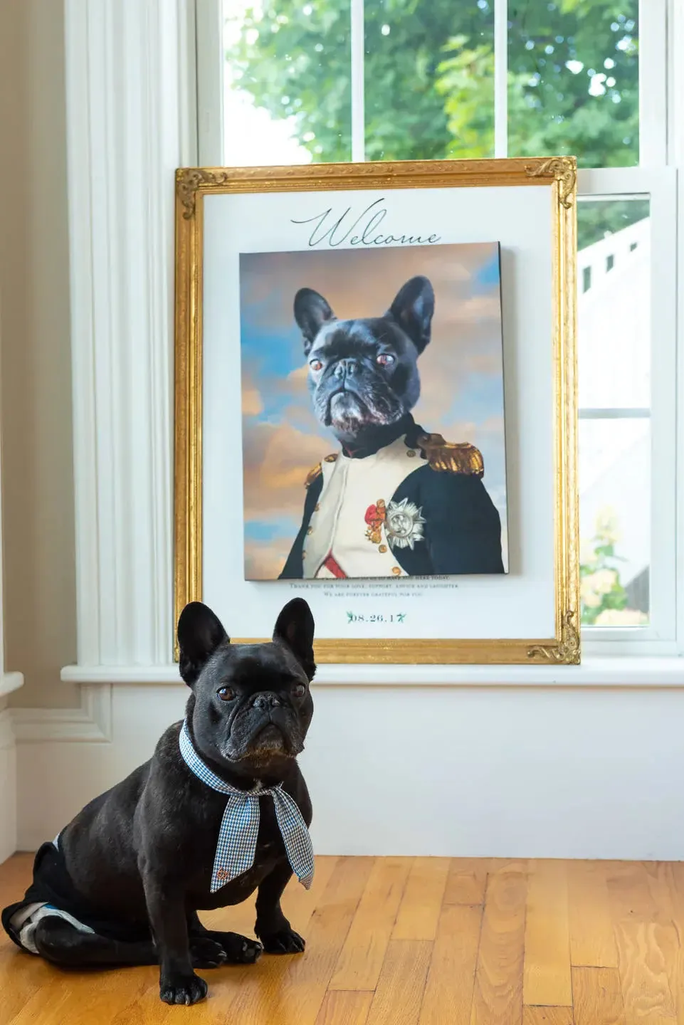 Napoleon Complex - Napoleon & Renaissance Inspired Custom Pet Portrait Canvas