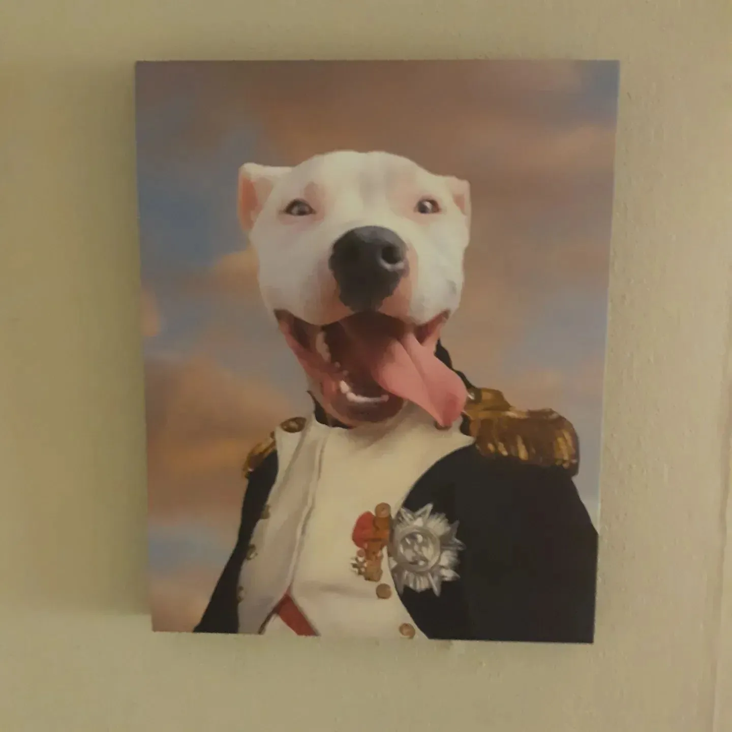 Napoleon Complex - Napoleon & Renaissance Inspired Custom Pet Portrait Canvas