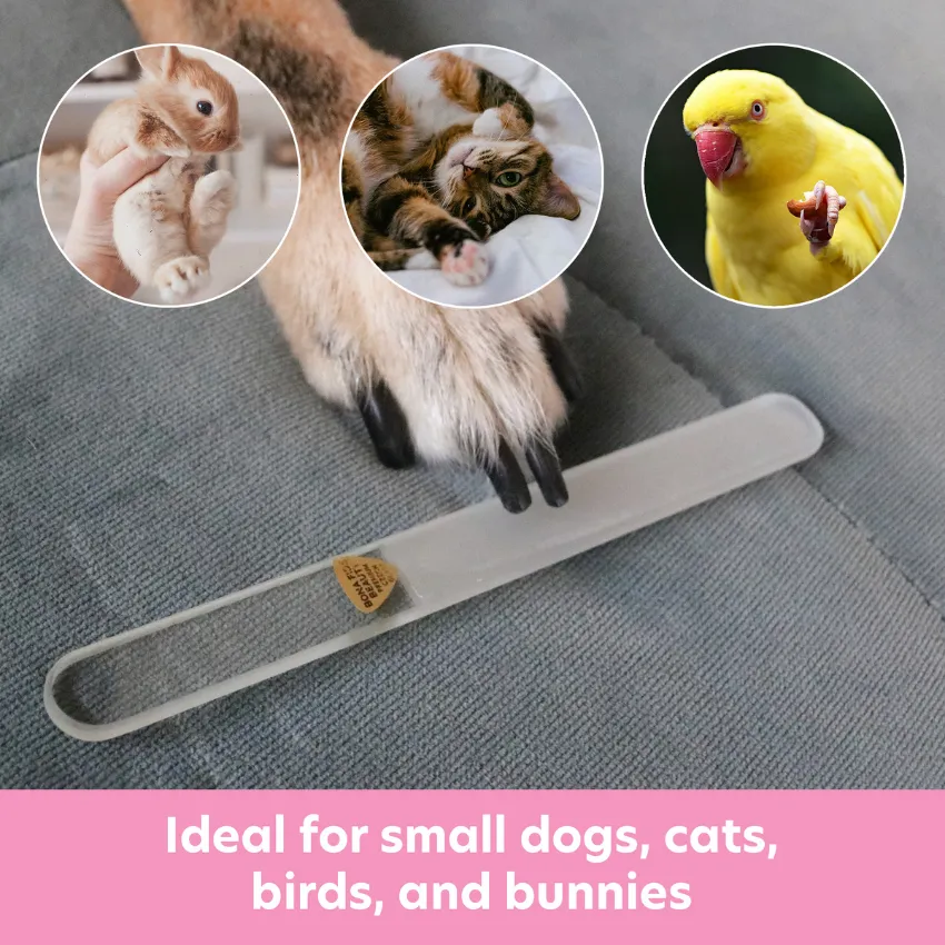 Pet Nail File - Gentle Glass File for Small Dogs, Cats, and Birds