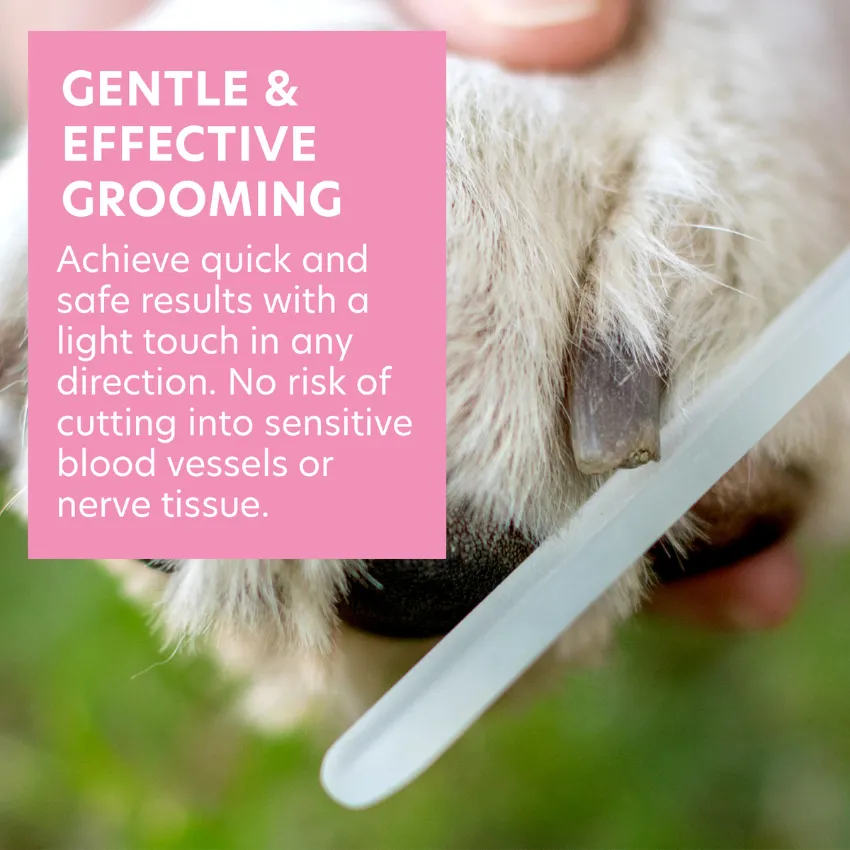 Pet Nail File - Gentle Glass File for Small Dogs, Cats, and Birds