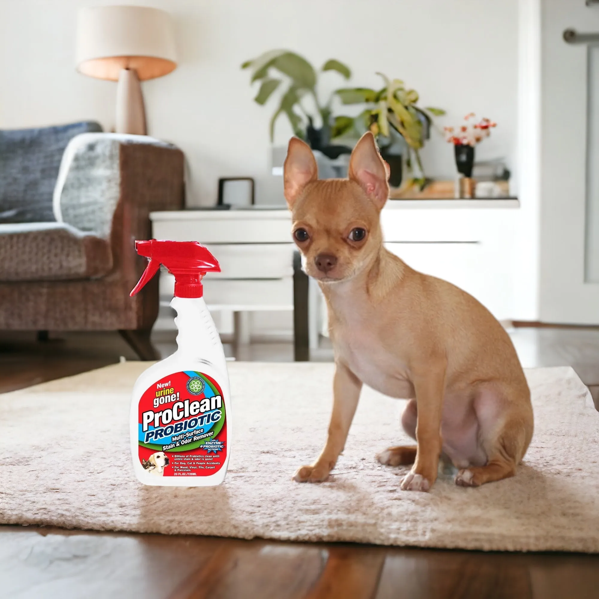 Urine Gone ProClean Stain and Odor Remover – 20 Fl Oz
